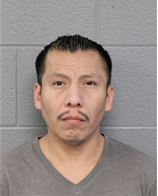ADELFO L HERNANDEZ, Cook County, Illinois