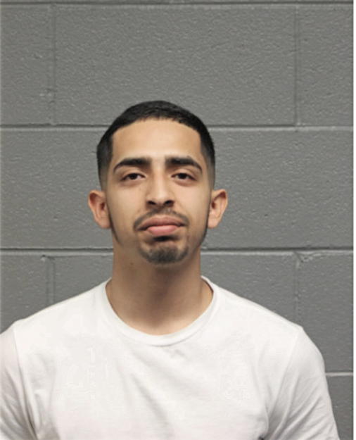 MARCO G HERNANDEZ, Cook County, Illinois