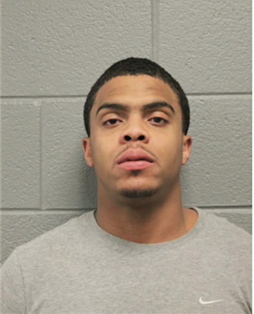 DENNIS M JOHNSON, Cook County, Illinois