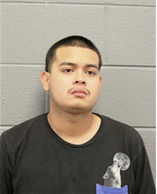 NESTOR J MARTINEZ, Cook County, Illinois