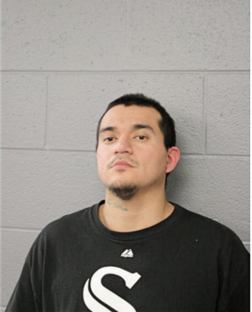 VICENTE MARTINEZ, Cook County, Illinois