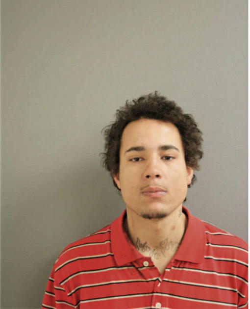 JOHANNI P MELENDEZ, Cook County, Illinois