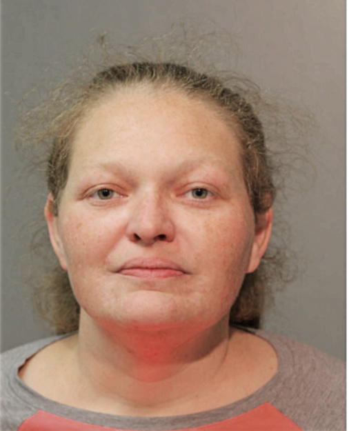 FRANCES A MIRRO, Cook County, Illinois