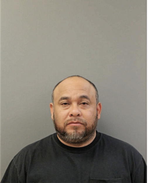 CARLOS NAVA, Cook County, Illinois