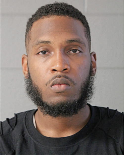 JEREMY E NELSON, Cook County, Illinois