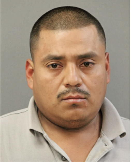 ABEL PONCE-TAVIRA, Cook County, Illinois