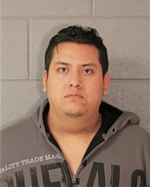 ISRAEL SALINAS, Cook County, Illinois