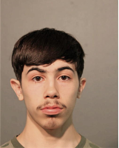 ALEXANDER M SEGURA, Cook County, Illinois