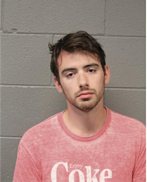 LUCAS S SZEKELY, Cook County, Illinois