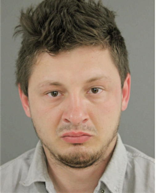 VELISLAV GEORGIEV TOSHEV, Cook County, Illinois