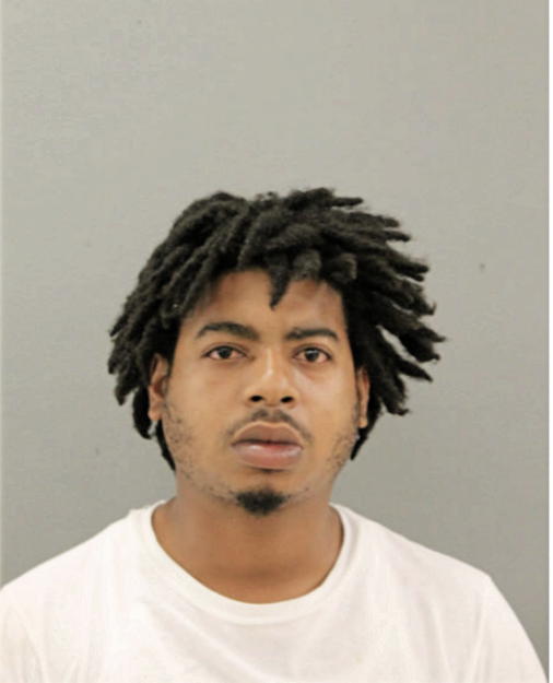 STEVEN J TRUNNELL, Cook County, Illinois