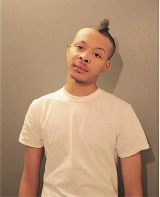 ANTHONY L VANN, Cook County, Illinois