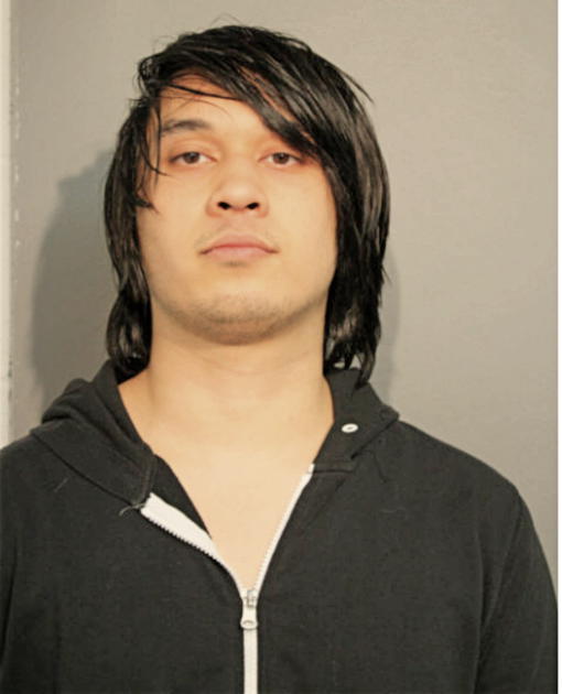 JON T WALDSCHMIDT, Cook County, Illinois