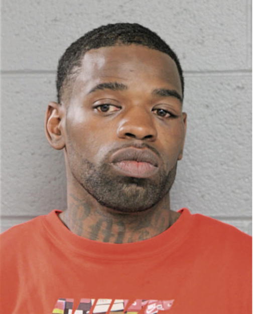 ANTHONY K WILLIAMS, Cook County, Illinois