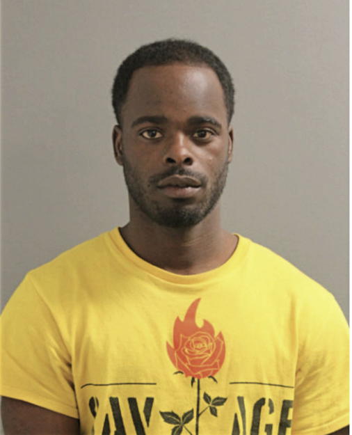 ADONIS YOUNG, Cook County, Illinois
