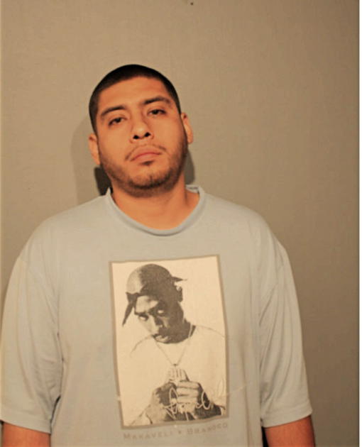 ROY J ABARCA, Cook County, Illinois