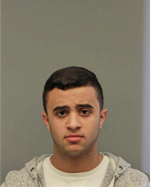LUTFI ALI, Cook County, Illinois