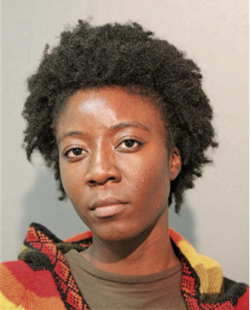 AMBER COLEMAN, Cook County, Illinois