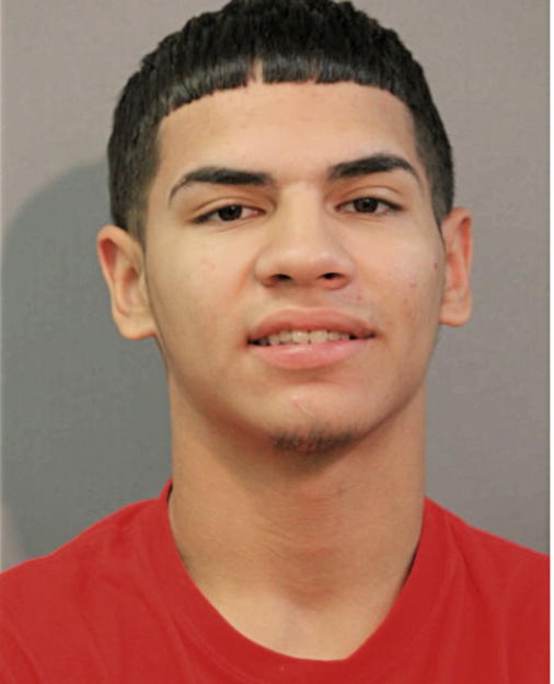 LUIS DIAZ, Cook County, Illinois