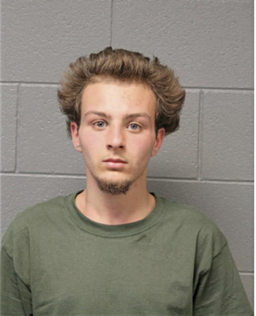 SHAWN M DODD, Cook County, Illinois