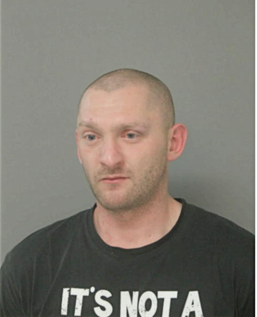 GRZEGORZ DOLEGOWSKI, Cook County, Illinois