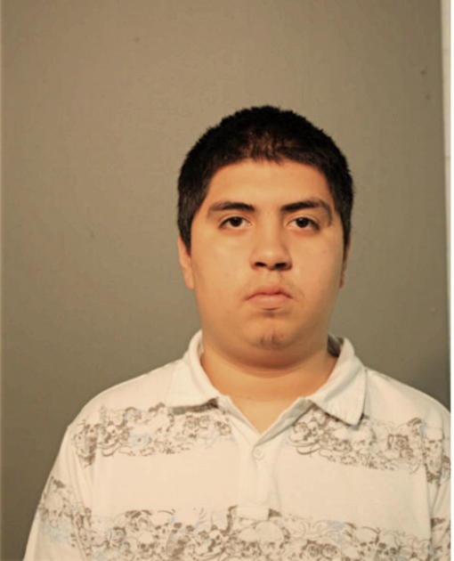 VLADIMIR DOMINGUEZ, Cook County, Illinois