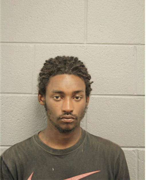 DARNELL N DORSEY-COLLIER, Cook County, Illinois