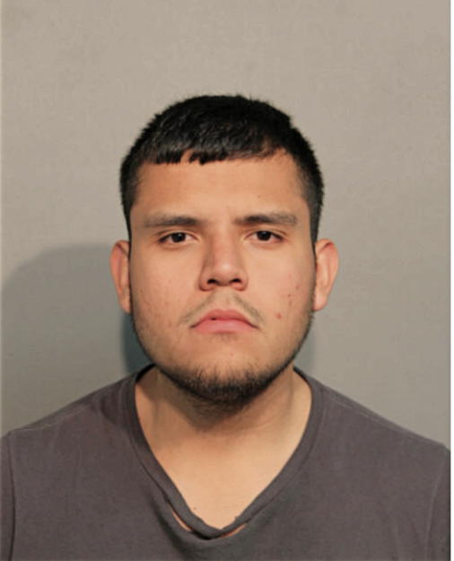 ALEJANDRO F DURAN, Cook County, Illinois