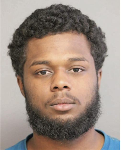 BRANDON FLOWERS, Cook County, Illinois