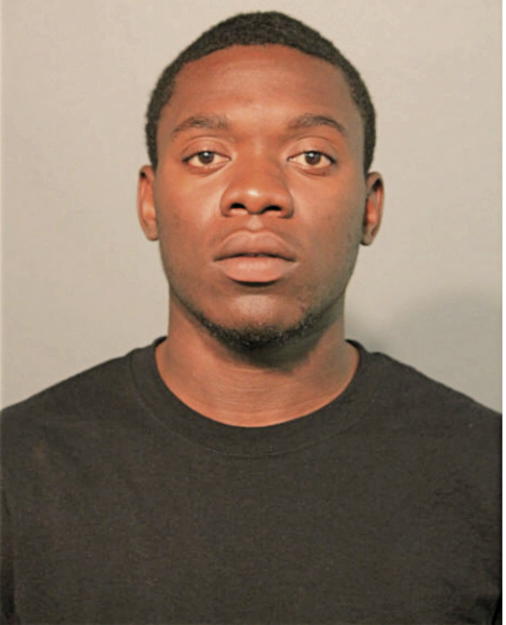 TERRANCE T FREEMAN, Cook County, Illinois