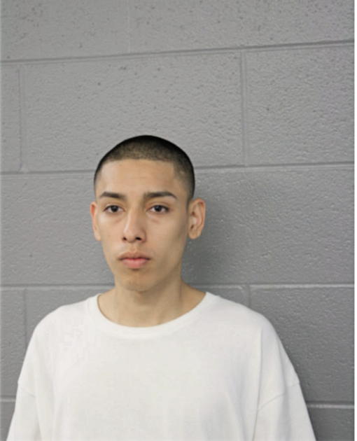 JESUS GALLEGOS, Cook County, Illinois