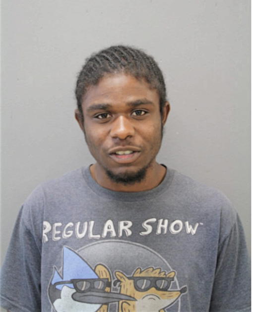 MICHAEL M HARRIS, Cook County, Illinois