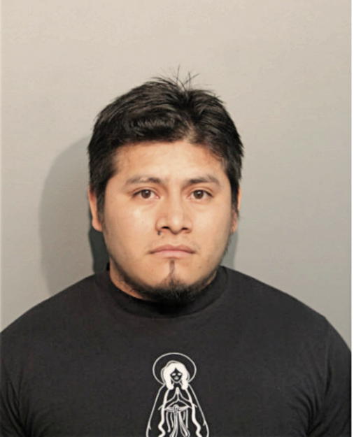 FELIPE HERNANDEZ, Cook County, Illinois