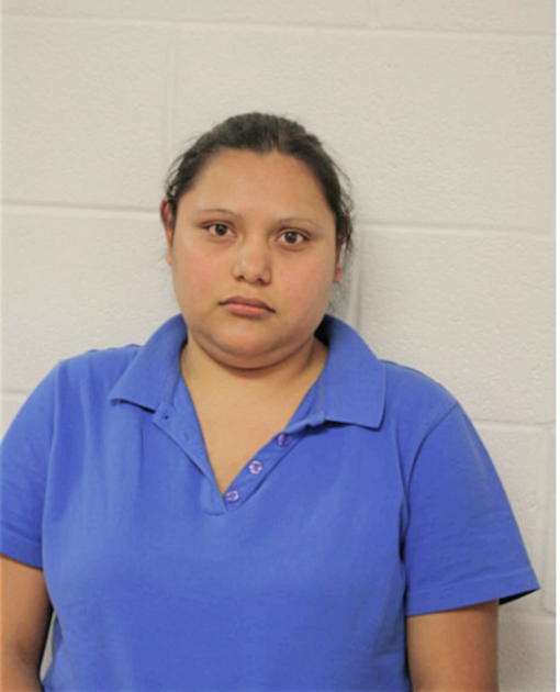 GUADALUPE E HERNANDEZ, Cook County, Illinois