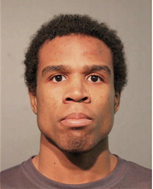 MICHAEL R HORTON, Cook County, Illinois