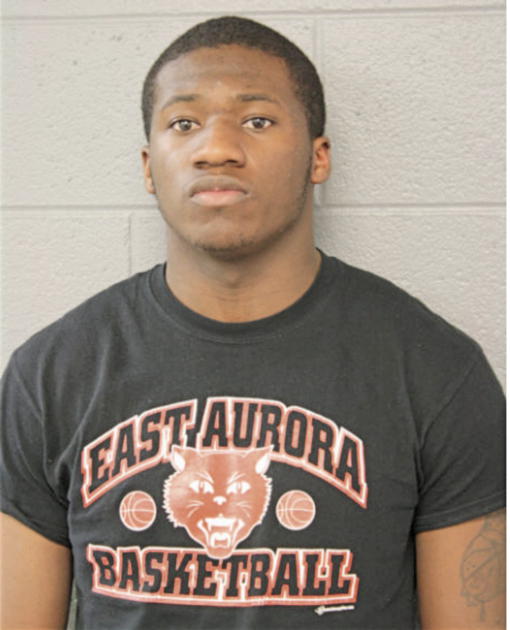ERNEST JOHNSON, Cook County, Illinois