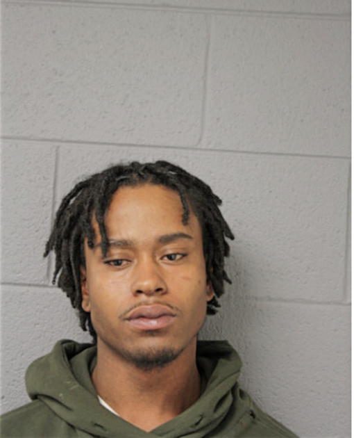 TERRANCE L JOHNSON, Cook County, Illinois