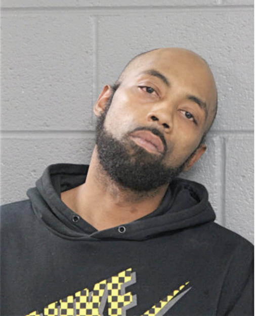 DAVID L JONES, Cook County, Illinois