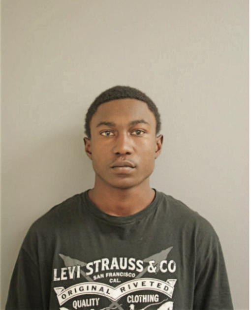 KALEN K LOGGINS, Cook County, Illinois