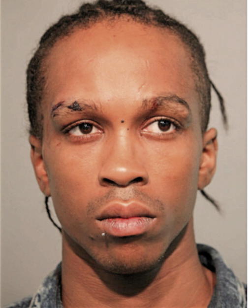 CHANDEL MADISON, Cook County, Illinois
