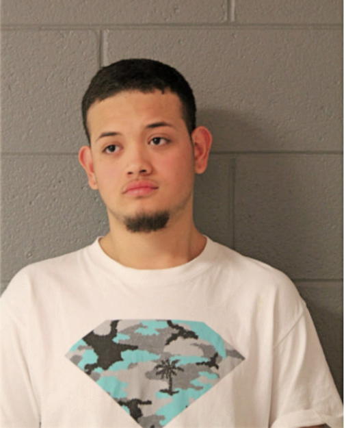 SERGIO MANZO, Cook County, Illinois