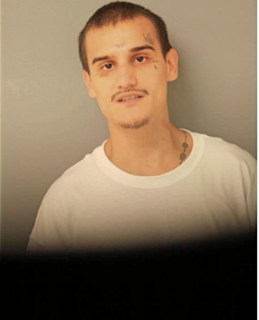 DANIEL F MARTINEZ, Cook County, Illinois