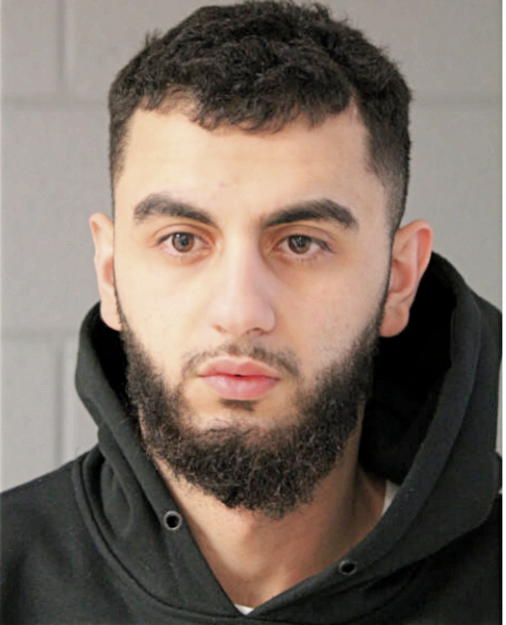 OMAR A NOUR, Cook County, Illinois