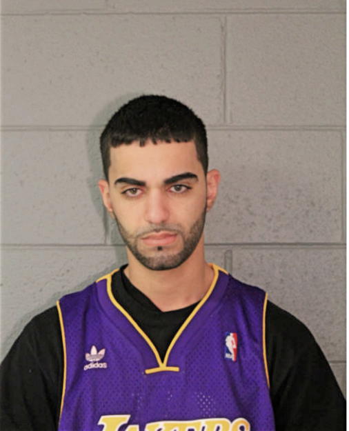 RANI K RAFATI, Cook County, Illinois