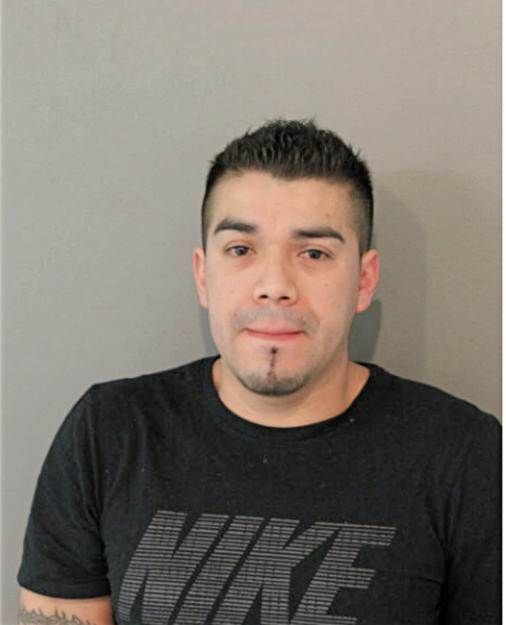 ROBERTO SANCHES-RAMIREZ, Cook County, Illinois