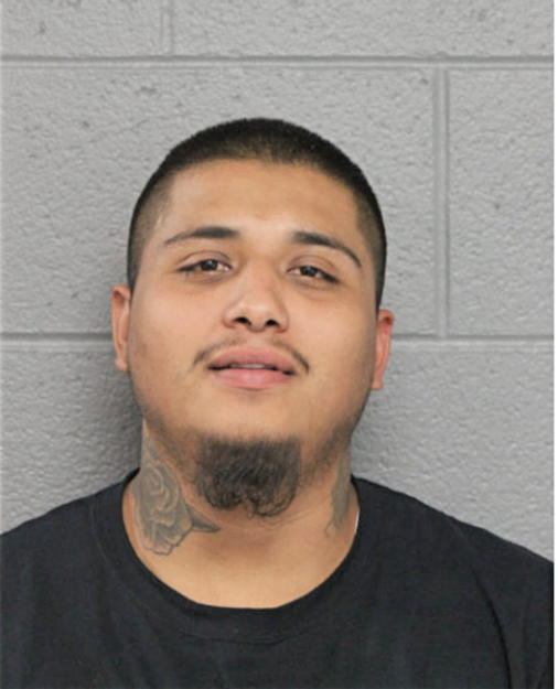 NELSON A SOTO, Cook County, Illinois