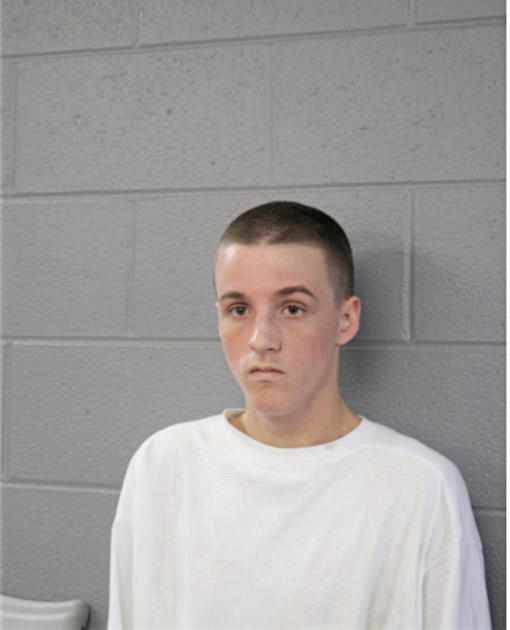 ANDREW M SWANSON, Cook County, Illinois