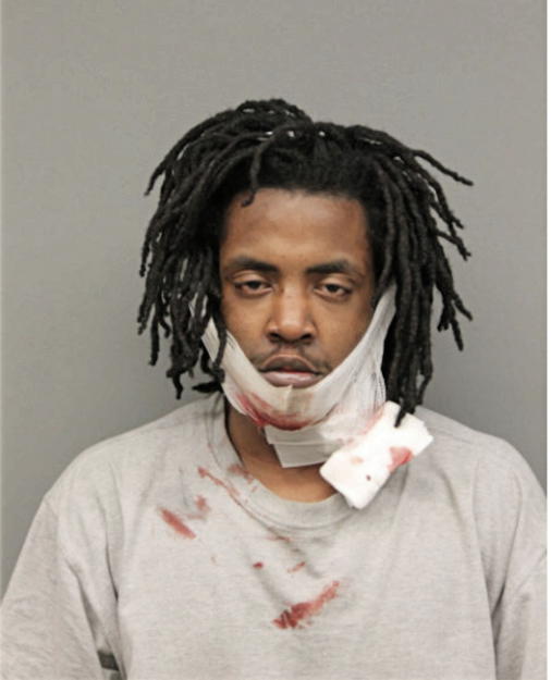 JOSHUA WILLIAMS, Cook County, Illinois