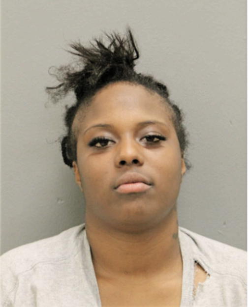 MICHELLE M WILSON, Cook County, Illinois