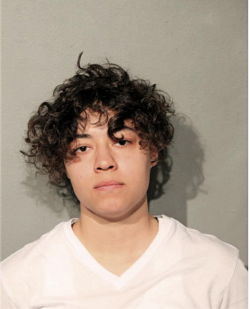 ZOE C WINSTON, Cook County, Illinois